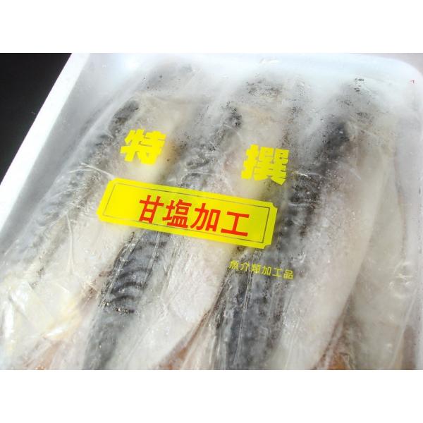 さば文化干し14枚 銚子製造 サバ文化干し 鯖文化干し さば サバ Buyee 日本代购平台 产品购物网站大全 Buyee一站式代购 Bot Online