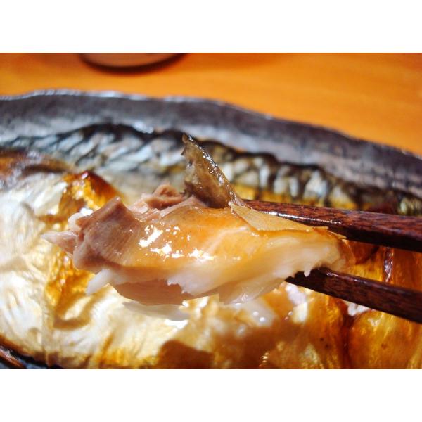 さば文化干し14枚 銚子製造 サバ文化干し 鯖文化干し さば サバ Buyee 日本代购平台 产品购物网站大全 Buyee一站式代购 Bot Online