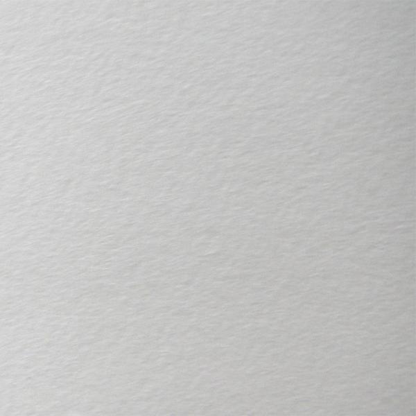 NTV 100kg B4 40|S120F1FI t Ή Rbgz |X^[ y[p[Ntg h J[h 