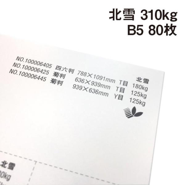 k 310kg B5 80|p Pg CNWFbgv^[ł̃vgOK