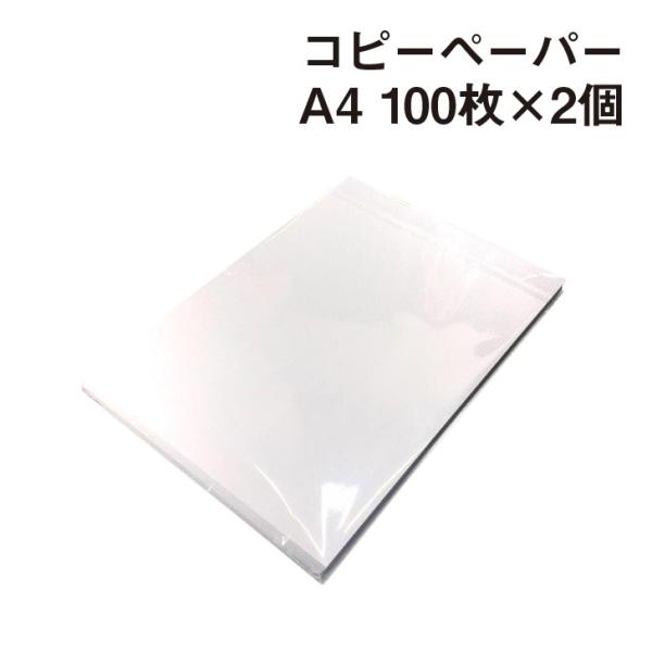 Rs[y[p[ A4 100×2|PPCp Rs[p