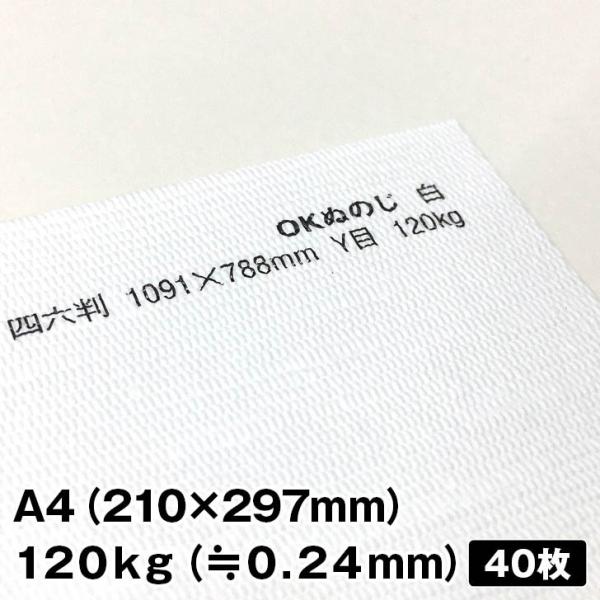 OKʂ̂ 120kg A4 40|t@Cy[p[ ꎆzn t@V[y[p[ ꎆ ʉ F G{X a  zn͗l