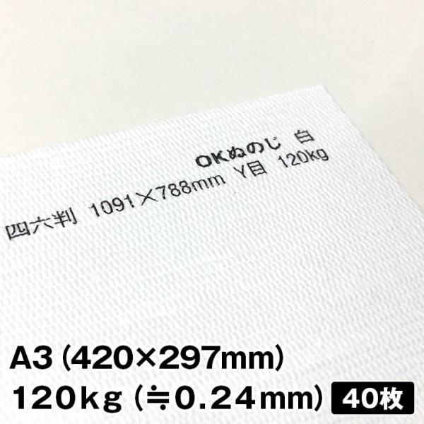 【ぬこ様オーダーページ】 2.5Dカラー】 しきにゃんのオーダー🎤✨ずーっと人気