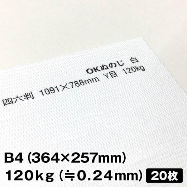 OKʂ̂ 120kg B4 20|t@Cy[p[ ꎆzn t@V[y[p[ ꎆ ʉ F G{X a  zn͗l