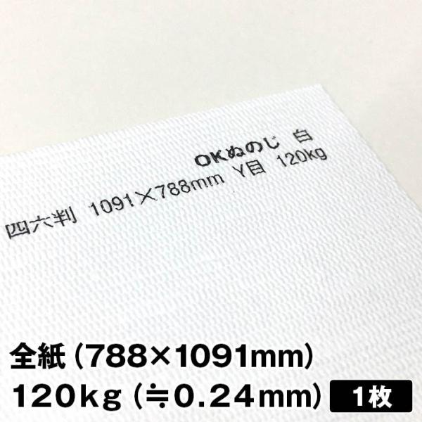 OKʂ̂ 120kg 788×1091mm 1|t@Cy[p[ ꎆzn t@V[y[p[ ꎆ ʉ F G{X a 