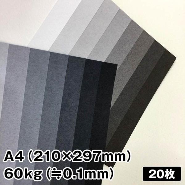 g[F 60kg A4 20|O[ t@V[y[p[ ꎆ N[O[ EH[O[ ʐF pbP[W J[h 