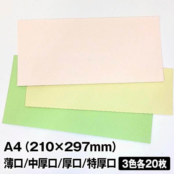 G߂̂낪 tF 3FZbg A4 20×3F|t XvO  Ԍ F 낪 p J[y[p[ J[p Rs[p IB