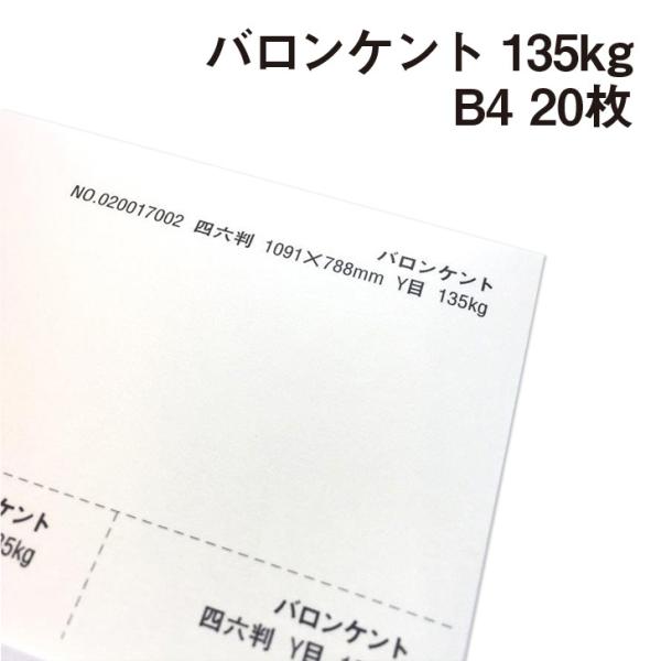 oPg 135kg B4 20|p Pg N[n̂₳  BARONKENT