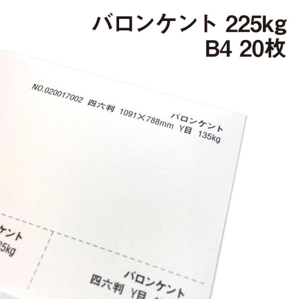 oPg 225kg B4 20|p Pg  N[n̂₳  BARONKENT