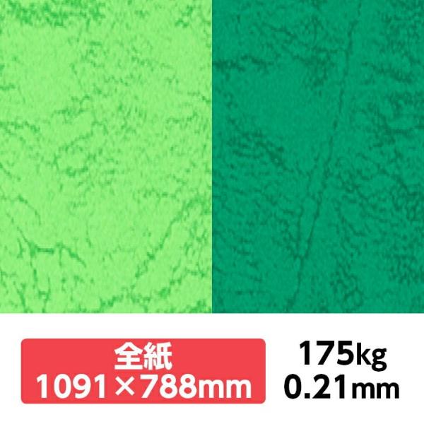 UbN66(KF) 175kg 788×1091mm 1|J[t v ̂悤ȃeNX`[ G{X ʉ UbNV[Y