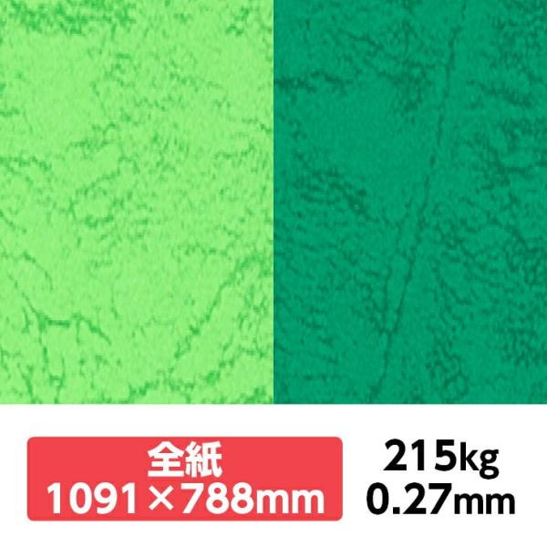 UbN66(KF) 215kg 788×1091mm 1|J[t v ̂悤ȃeNX`[ G{X ʉ UbNV[Y