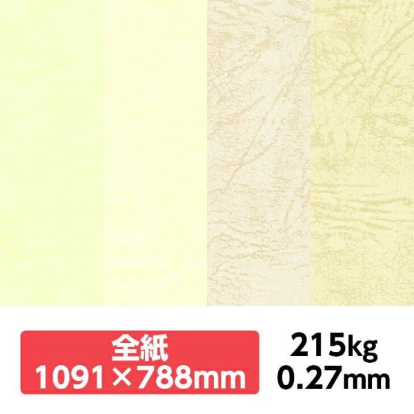 UbN66(DF) 215kg 788×1091mm 1|J[t v ̂悤ȃeNX`[ G{X ʉ UbNV[Y