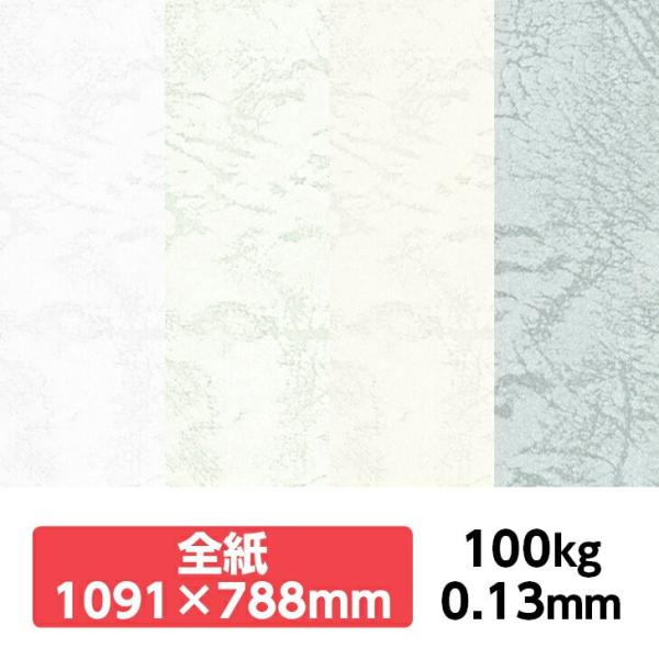 UbN66(BF) 100kg 788×1091mm 1|J[t v ̂悤ȃeNX`[ G{X ʉ UbNV[Y