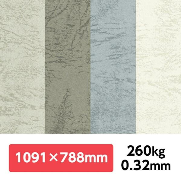 UbN66(AF) 260kg 788×1091mm 1|J[t v G{X ʉ UbNV[Y ʐ^Be iBe wi tHgobNy[p[