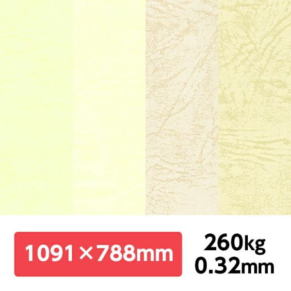 UbN66(DF) 260kg 788×1091mm 1|J[t v G{X ʉ UbNV[Y ʐ^Be iBe wi tHgobNy[p[