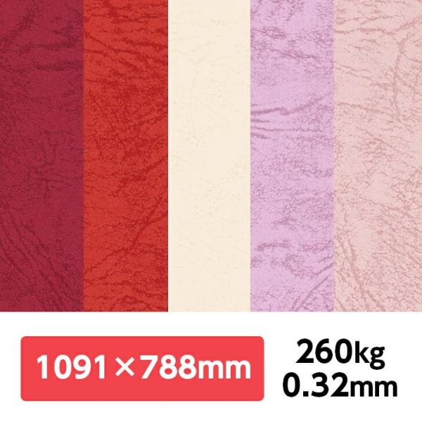 UbN66(CF) 260kg 788×1091mm 1|J[t v G{X ʉ UbNV[Y ʐ^Be iBe wi tHgobNy[p[