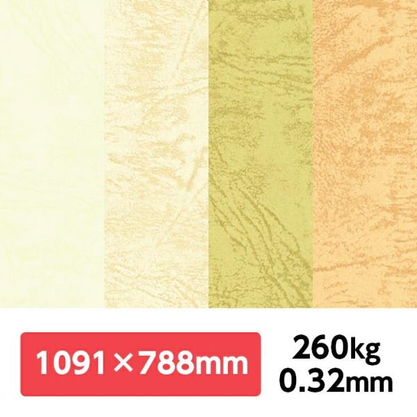 UbN66(EF) 260kg 788×1091mm 1|J[t v G{X ʉ UbNV[Y ʐ^Be iBe wi tHgobNy[p[