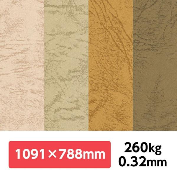 UbN66(GF) 260kg 788×1091mm 1|J[t v G{X ʉ UbNV[Y ʐ^Be iBe wi tHgobNy[p[