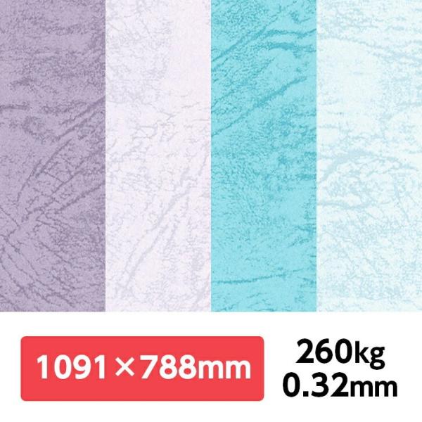 UbN66(HF) 260kg 788×1091mm 1|J[t v G{X ʉ UbNV[Y ʐ^Be iBe wi tHgobNy[p[