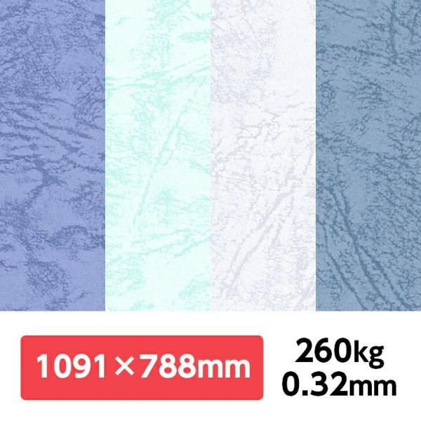 UbN66(IF) 260kg 788×1091mm 1|J[t v G{X ʉ UbNV[Y ʐ^Be iBe wi tHgobNy[p[