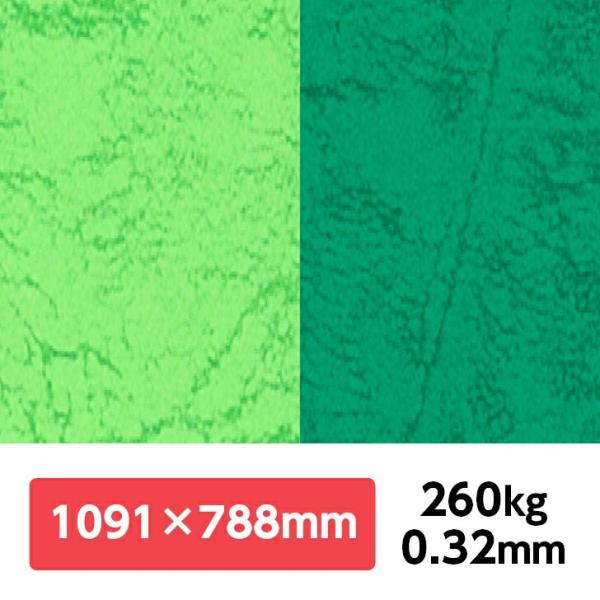 UbN66(KF) 260kg 788×1091mm 1|J[t v G{X ʉ UbNV[Y ʐ^Be iBe wi tHgobNy[p[