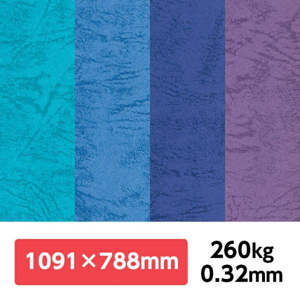 UbN66(LF) 260kg 788×1091mm 1|J[t v G{X ʉ UbNV[Y ʐ^Be iBe wi tHgobNy[p[