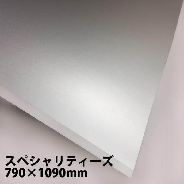 XyVeB[Y No.210 24kg 790×1090mm 5|ʐ^Be iBe wi tHgobNy[p[ ^bN A~ Vo[  c