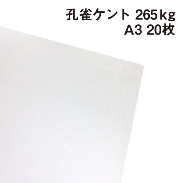 EPg 265kg A3 20|p Pg 