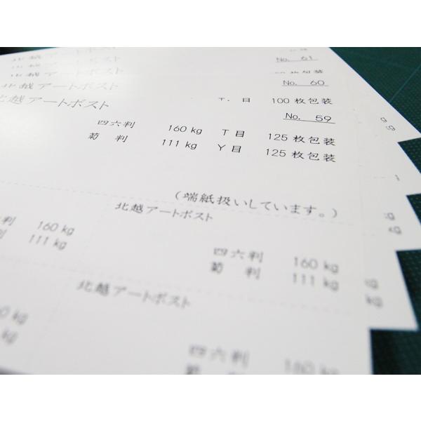 kz A[g|Xg 160kg 219×310mm 20|̎ J^O q J[h |XgJ[h G͂ POP pbP[W