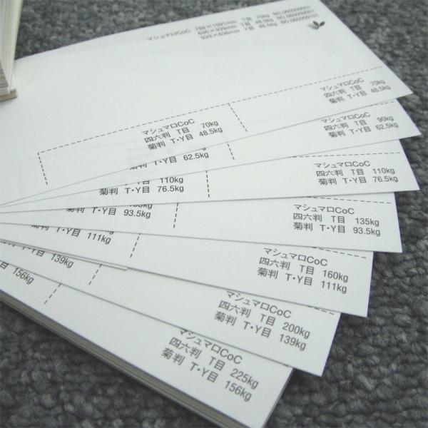 }V}Coc i` 225kg B4 100|ItZbg CNWFbg hH }`y[p[ h lD i^O