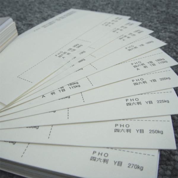 PHO 110kg A4 100|hHp Photograph i` v[ X[X veBOt@V[ J[h ؏