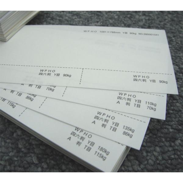 WPHO 180kg A4 100|hHp White Photograph v[ X[X veBOt@V[ J[h ؏