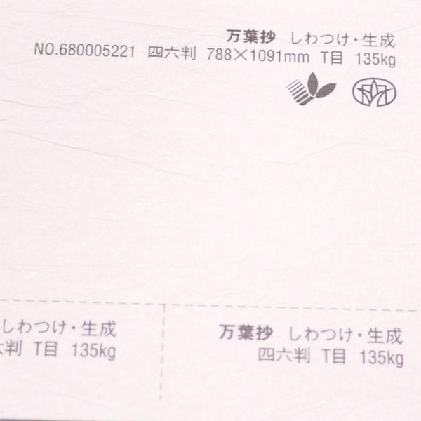 t   135kg A4 20|a Ȃ