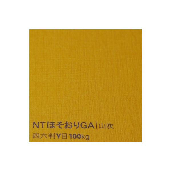 NTقGA 100kg B5 20|S50F1FI D蕿 G{X ʉ T-EOSV[Y LxȃJ[ t@Cy[p[ ꎆ