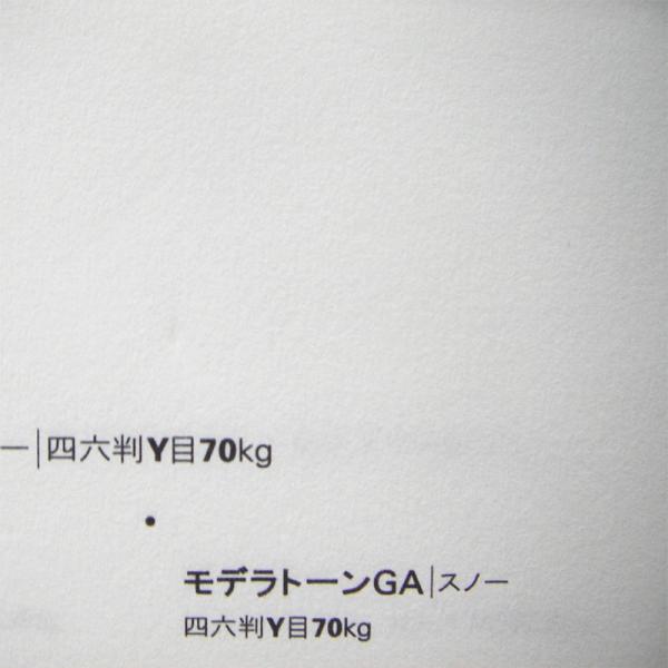 ���f���g�[��GA 110kg B5 20��|�S6�F���1�F�I�� ���t ��h�H ���ꎆ ���₩�ȕ����� �ʉ� ���� �X�m�[ �A�C�X �z���C�g �s���A �i�`������ �V���L�[