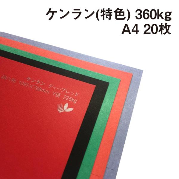 P(F) 360kg A4 20|S44F1FI J[y[p[ H h J[h s@ y[p[Ntg