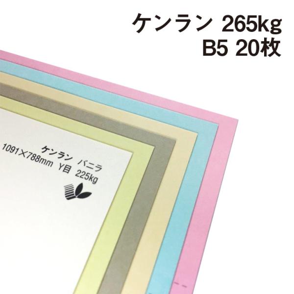 P 265kg B5 20|S44F1FI J[y[p[ H h J[h s@ y[p[Ntg