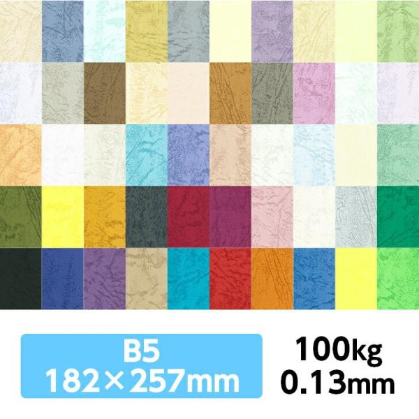 UbN66 100kg B5 40|S42F1FI J[t v ̂悤ȃeNX`[ G{X ʉ UbNV[Y