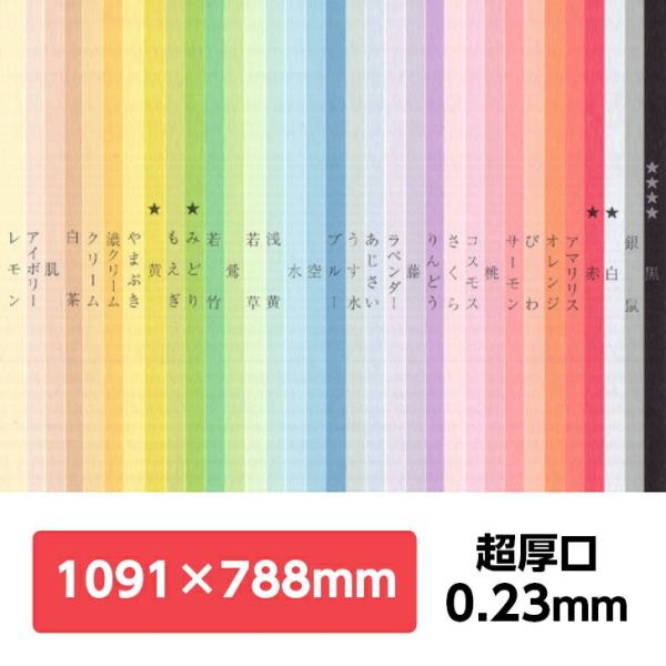 F㎿  788×1091mm 1|S32F1FI F 낪 p J[y[p[ J[p IBy[p[Ntg Hp ܂莆