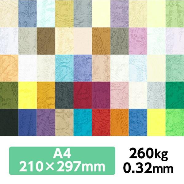 UbN66 260kg A4 20|S42F1FI J[t v ̂悤ȃeNX`[ G{X ʉ UbNV[Y