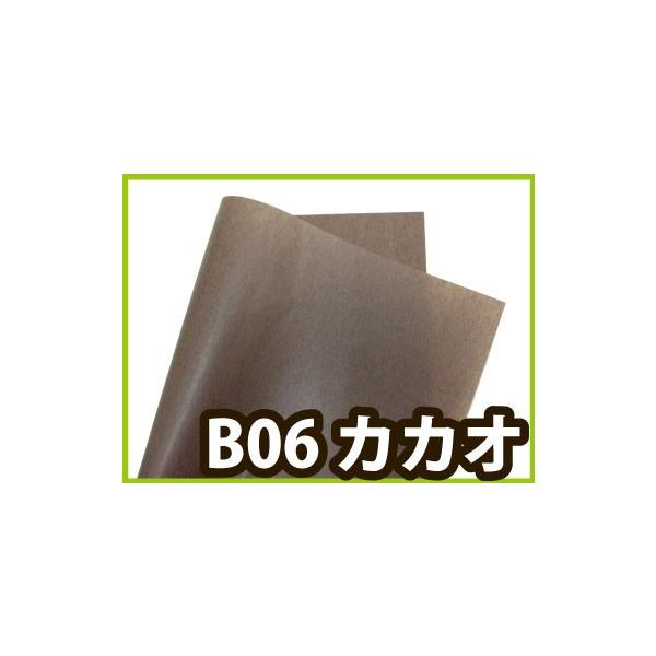 bsOp pbgJ[ JJIiB06j 1 545×788mm |ӂӂ GA[ ɔ ̓ ̓