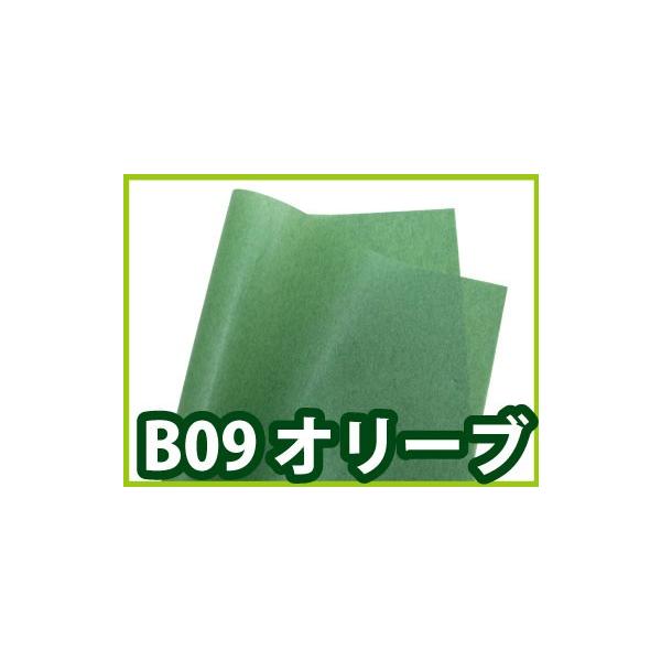 bsOp pbgJ[ I[uiB09j 1 545×788mm |ӂӂ GA[ ɔ ̓ ̓