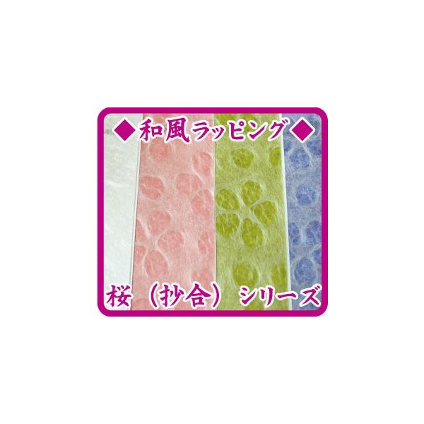 absO  V[Y 1|[֔ ̓