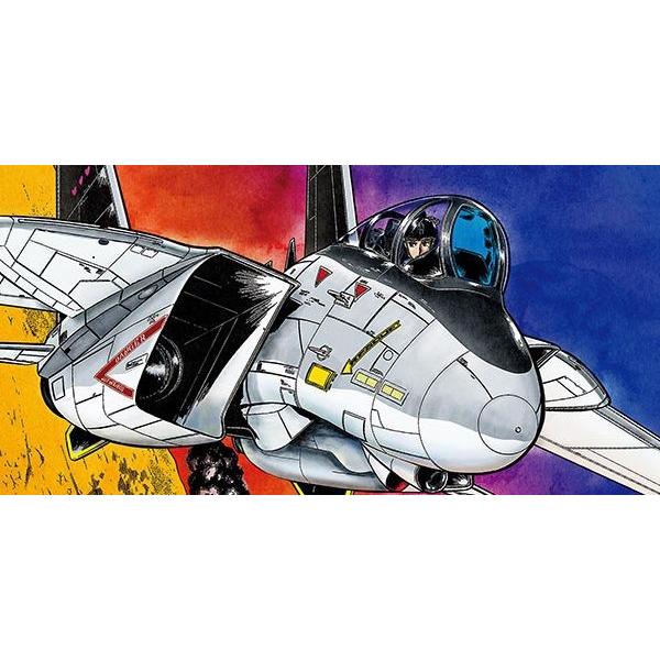 ハセガワ1/48 「エリア88」 F-14A トムキャット “ミッキー・サイモン 
