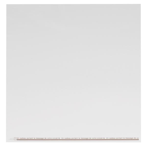 [P[LtB S[huE 100
