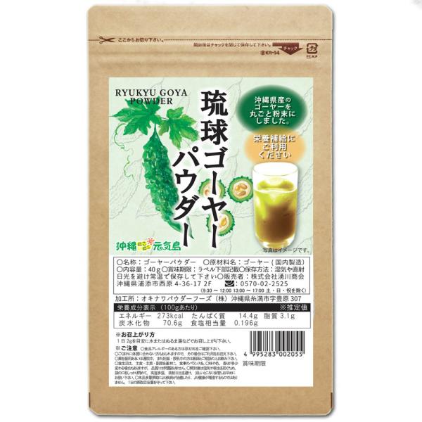ゴーヤー パウダー 琉球ゴーヤーパウダー40g×1袋 ごーやー粉末 沖縄県産100％ 国産 無添加 ノンカフェイン 青汁 ゴーヤ 苦瓜 爆買