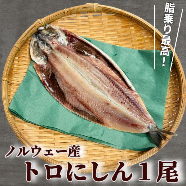 【脂乗り抜群】ノルウェー産 トロニシン１尾（１尾約30cm ）（ニシン 鰊 干物）