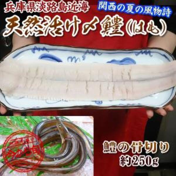 2026年 兵庫県淡路島産 ワンフローズン！天然活〆 骨切り済 ハモ切身約250g×１パック