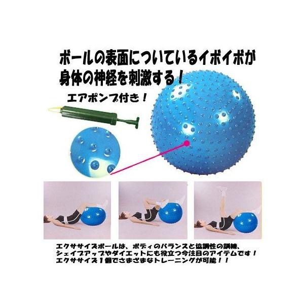 Northway Sports　イボイボ　バランスボール