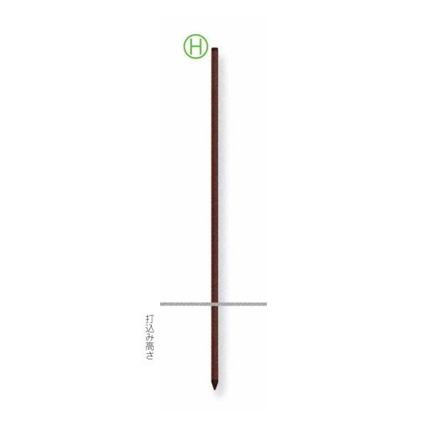 TIGER ^CK[ 핢|ǎx  K2012  (50{) (i TBS-PK20120) (dC d dC {[_[VbN)